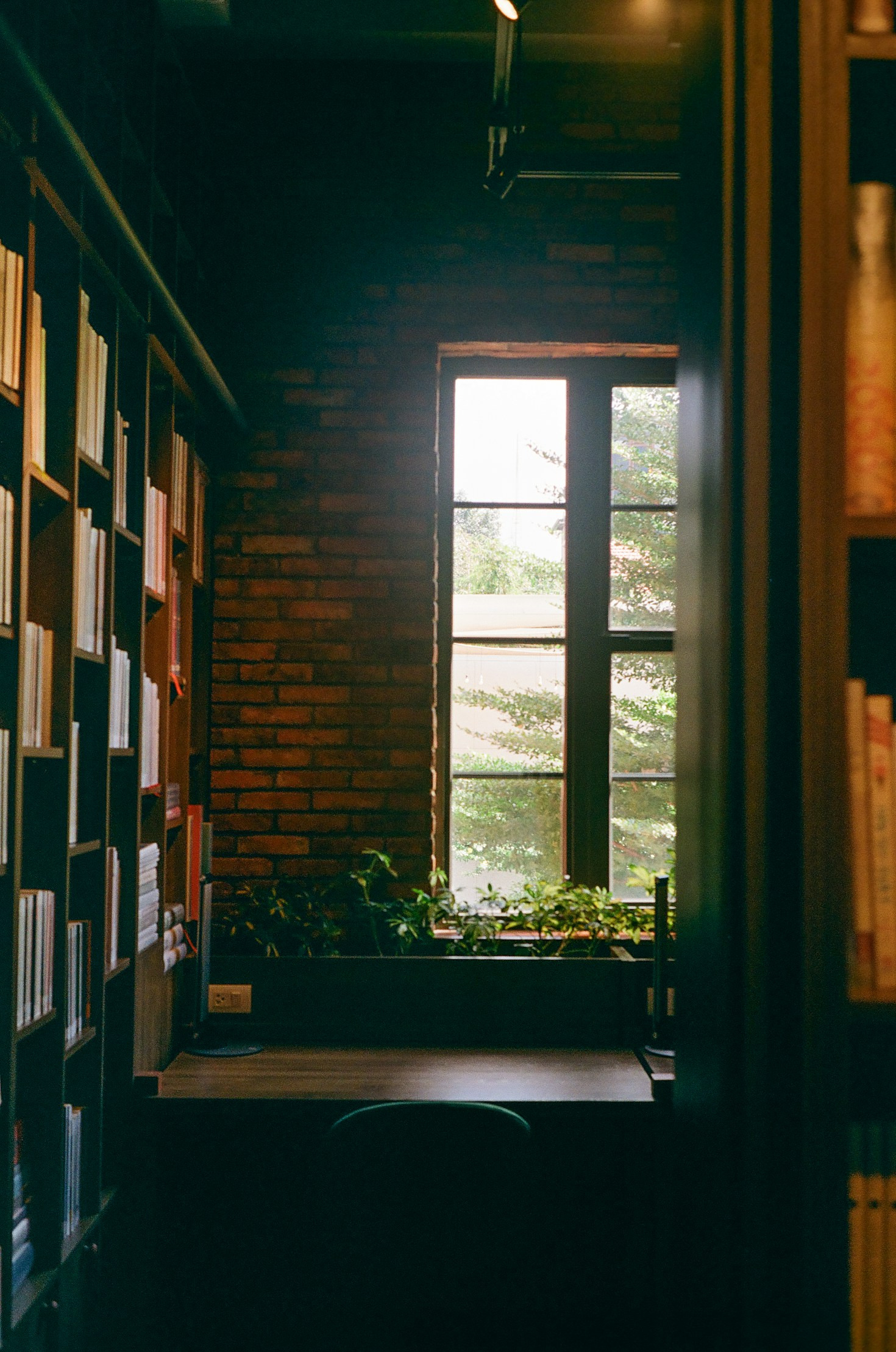 Bücher befreundeter Schriftsteller, die Sie inspirieren werden